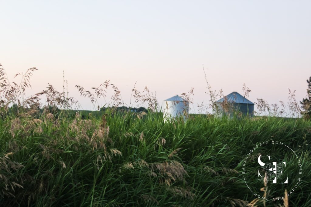 Silos in Iowa